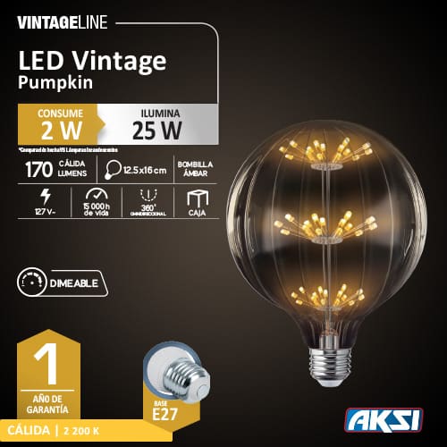 Foco led 2w Pumpkin Dimeable Aksi - 0