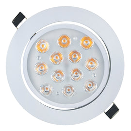 Empotrado 12w Blanco Dirigible calido Wanergy