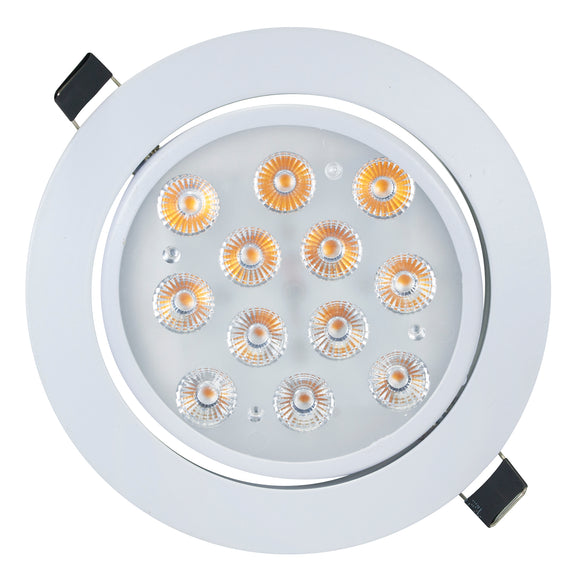 Empotrado 12w Blanco Dirigible calido Wanergy