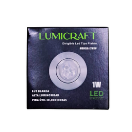 EMPOTRADO 1W DIRIGIBLE SATINADO LUZ BLANCA LUMICRAFT