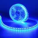 Tira Led 10m 120v Luz Azul-1