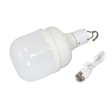 Foco 30w Recargable