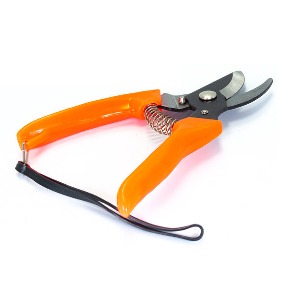 Tijeras para Jardín #7 Latintul