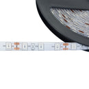 Tira 50x50 Luz Azul 5 mts Wanergy-3