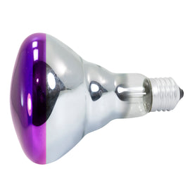 Foco 75w Spot Morado