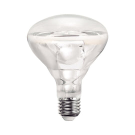 Foco 250w Spot BR40 Transparente