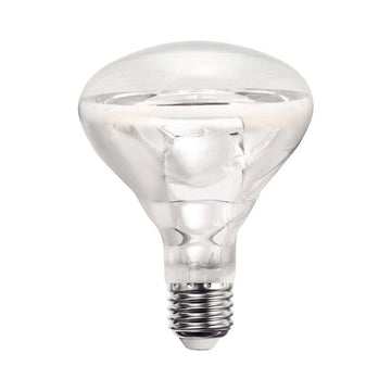 Foco 250w Spot BR40 Transparente