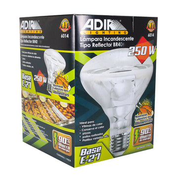 Foco 250w Spot BR40 Transparente - 0