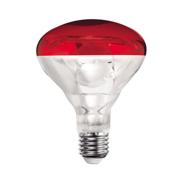 Foco 250w Spot BR40 Infrarrojo