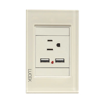 Placa 1 Contacto 2 USB Hueso Colors