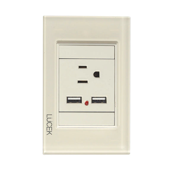 Placa 1 Contacto 2 USB Hueso Colors