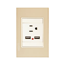 Placa 1 Contacto 2 USB Cristal Dorado Marfil