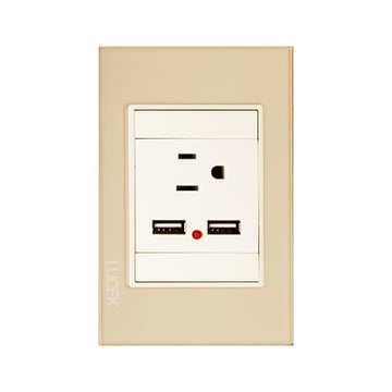 Placa 1 Contacto 2 USB Cristal Dorado Marfil